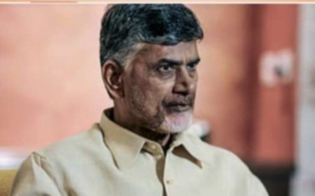 आंध्र प्रदेश के पूर्व सीएम एन चंद्रबाबू नायडू हुए गिरफ्तार