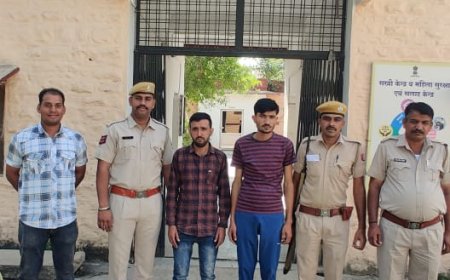 पिकअप से करीब डेढ़ करोड़  का अवैध अफीम डोडाचुरा जब्त 