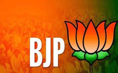 चित्तौडगढ से भाजपा किसे उतारेगी मैदान में जोशी या चन्द्रभान !