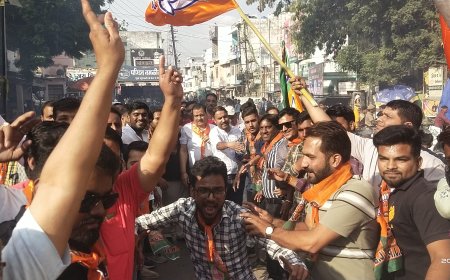 निम्बाहेड़ा विधानसभा से एक बार फिर कृपलानी