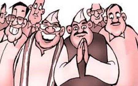 चित्तौडगढ विधानसभा चुनावः 1972 से  अब तक हर बार मतदान  प्रतिशत   बढा है