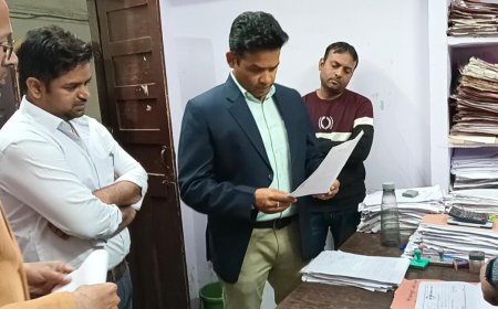 जिला कलेक्टर ने नगर परिषद का किया औचक निरीक्षण