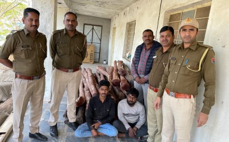 अजवाईन की चुरी के आड़ में लाल चंदन की तस्करी 