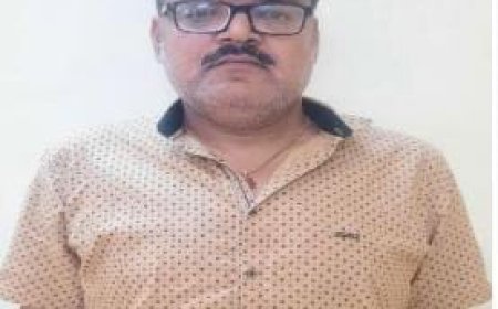 फर्जी डिग्री देने के मामले में मेवाड़ यूनिवर्सिटी के प्रिंसिपल कौशल किशोर चंद्रुल  गिरफ्तार