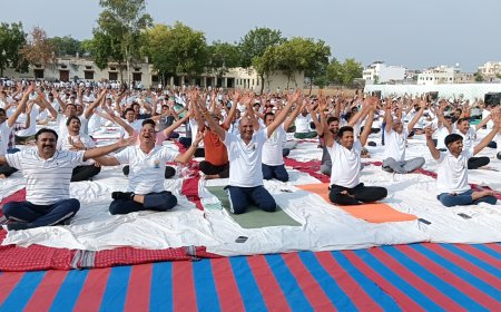 उत्साह के साथ मनाया चित्तौडगढ में योग दिवस