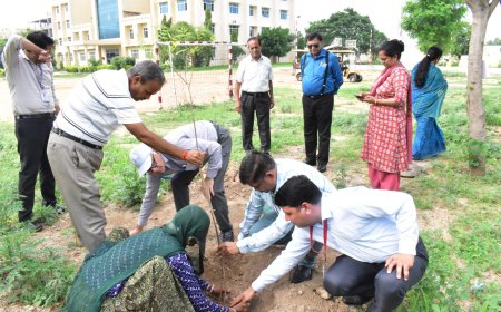 पर्यावरण बचाना हम सबकी जिम्मेदारीः कुलपति डॉ. आलोक कुमार मिश्रा 