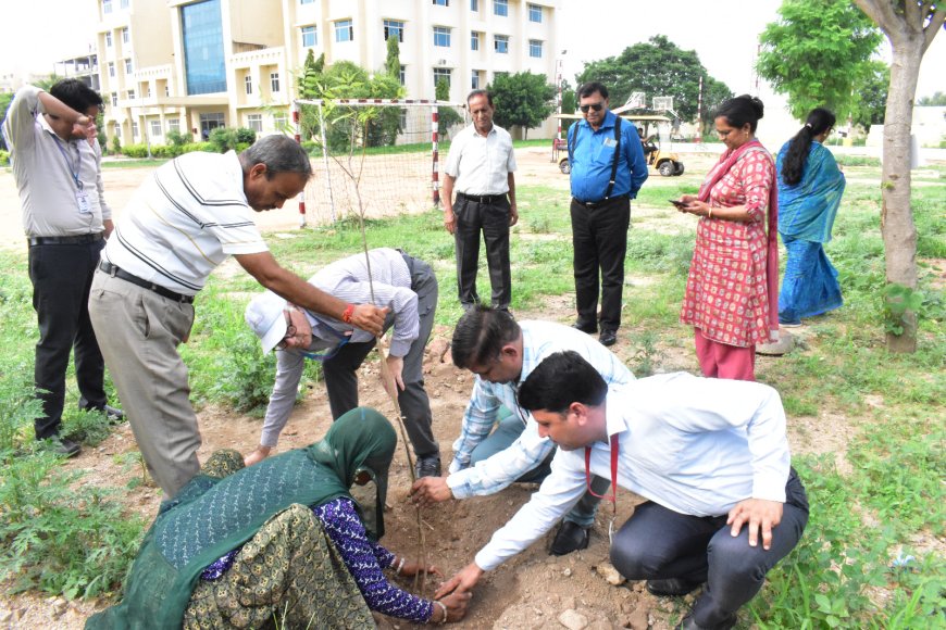 पर्यावरण बचाना हम सबकी जिम्मेदारीः कुलपति डॉ. आलोक कुमार मिश्रा