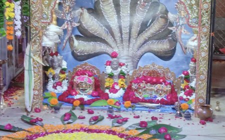 धनेतकलां में सगसजी महाराज का जन्मोत्सव मनाया