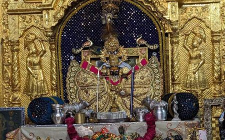 जलझूलनी का मेला आज से सांवलियाजी में तीन दिन इस तरह से होगा आमजन का प्रवेश