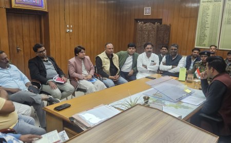 अवैध बजरी खनन रोकने भाजपा प्रतिनिधि मंडल ने कलक्टर से की मुलाकात