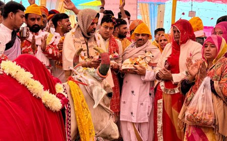 भदेसर प्रधान ने नानी बाई के मायरे कह दी यह बात
