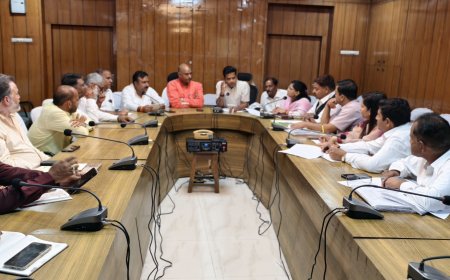 राष्ट्रीय स्वदेशी महोत्सव की तैयारियां जोरों पर   चित्तौड़गढ़ में होगा भव्य आयोजन