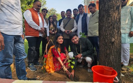 विवाह समारोह में अनूठी पहल : दांपत्य जीवन की शुरुआत पौधारोपण से