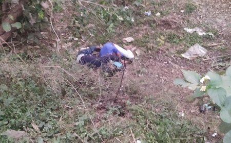 प्रतापगढ़ जिले के धरियावद उपखंड पर सड़क हादसे में युवक की मौत, दो घायल