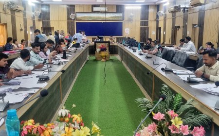 विशेष गहन पुनरीक्षण : चित्तौड़गढ़ जिला शत-प्रतिशत लक्ष्य के करीब