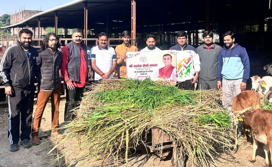 भाजपा प्रदेश प्रवक्ता सैनी के जन्म दिन पर भाजपा युवा मोर्चा ने की गौ सेवा