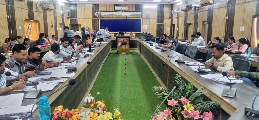 विशेष गहन पुनरीक्षण : चित्तौड़गढ़ जिला शत-प्रतिशत लक्ष्य के करीब