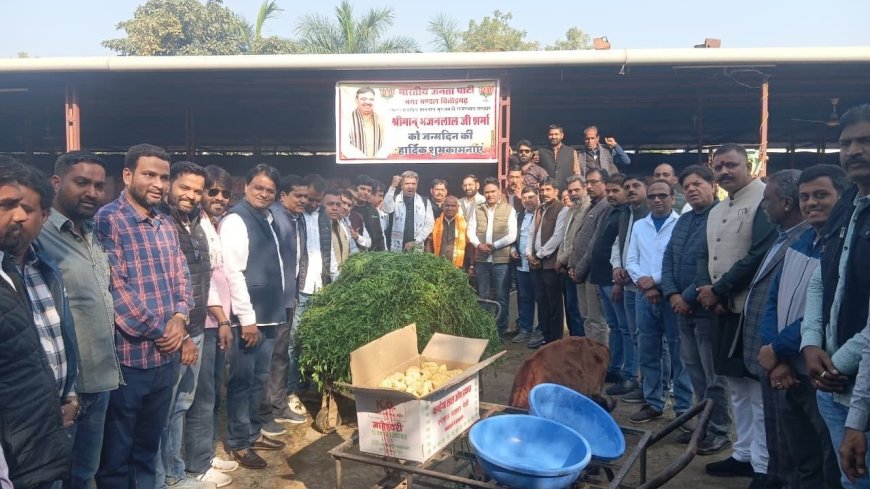मुख्यमंत्री भजन लाल शर्मा के जन्मदिवस पर गांधी नगर गोशाला में सेवा कार्य आयोजित